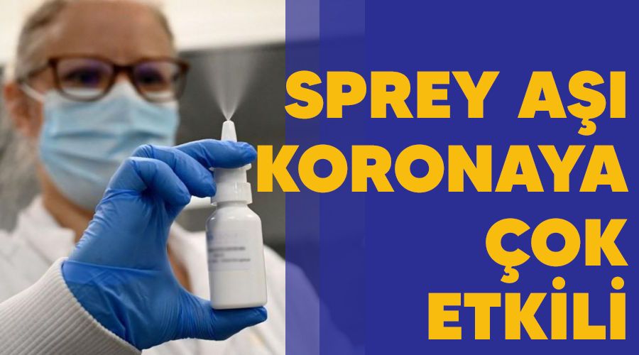 Sprey aşı koronaya çok etkili