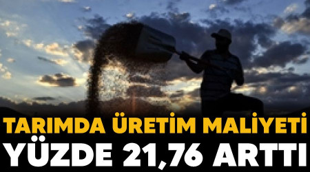 Tarımda üretim maliyeti yüzde 21,76 arttı
