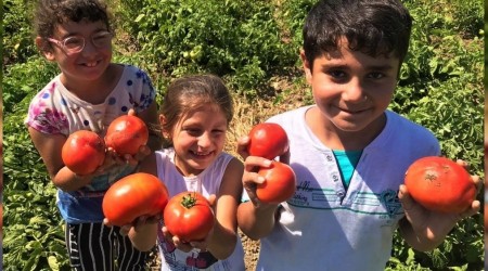 Tarlada 1 lira, 4 katı fiyatla mutfağa giriyor
