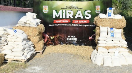 Tarsus'ta hasat edilen 30 ton buğday ve saman üreticilere ücretsiz dağıtıldı