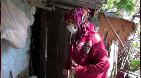 Tavuk hırsızları bir gecede onlarca kümesi boşalttı