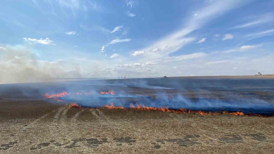 Tekirda�'da 500 d�n�m alan� etkileyen yang�n