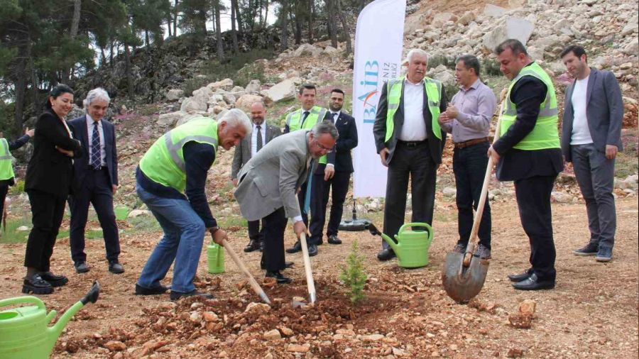 Terk edilmiş mermer ocağı rehabilite edilerek ağaçlandırıldı