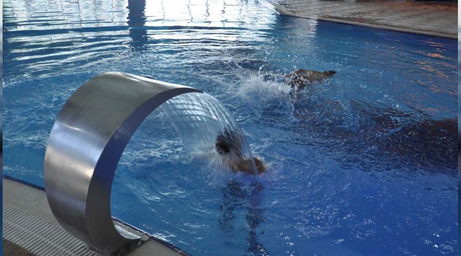 Termal turizmde korkulacak bir vakayla karşılaşılmadı