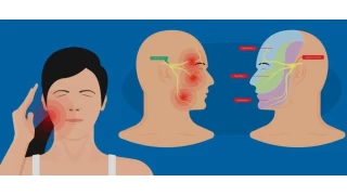 Tik Hastalığı Nedir? Neden Olur?