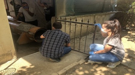 Tilkide her deliğe girermiş!