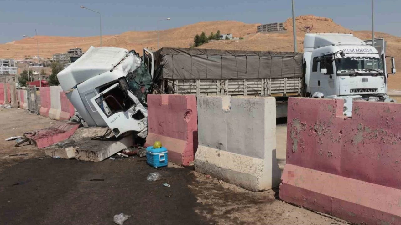 Trafik kazas� karde�leri birbirinden ay�rd�