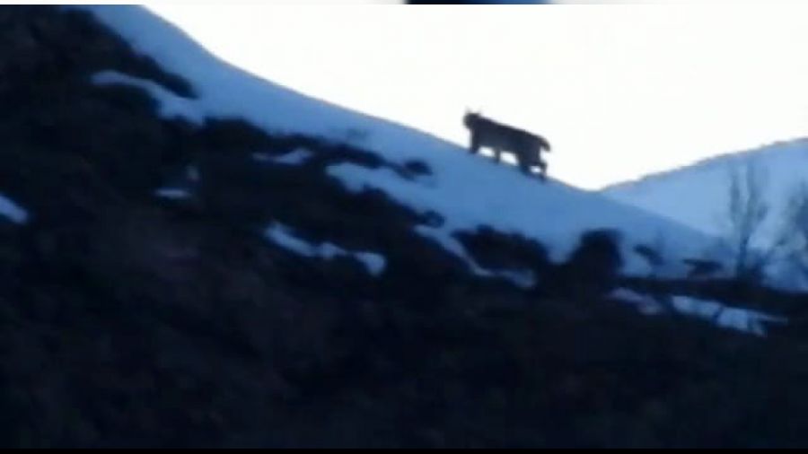 Tunceli�deva�ak g�r�nt�lendi