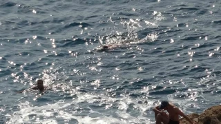 Trkiye soukla mcadele ederken dnyaca nl sahilde yaz grnts