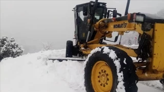 Türkiye'nin doğusunda kar bereketi