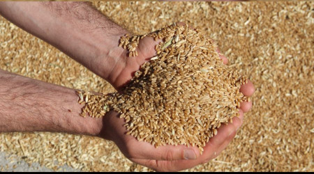 T�rkiye'nin g�da g�venli�i tehlikede