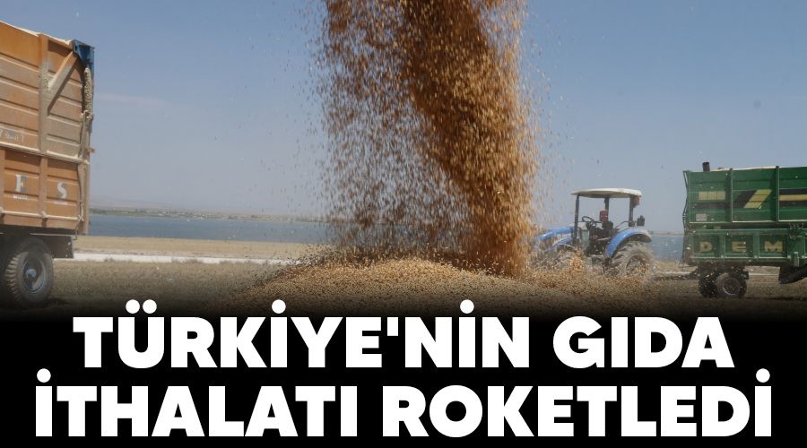 T�rkiye'nin g�da ithalat� roketledi