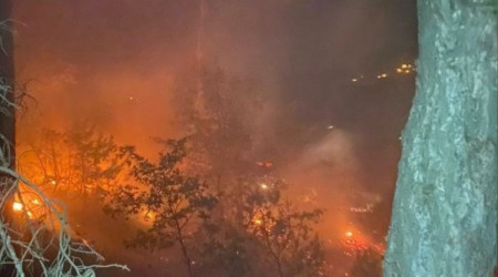 Uşak'ta çıkan orman yangınına ekipler müdahale ediyor
