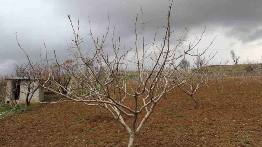 Uykular� ka�an �ift�inin y�z�n� ya���lar g�ld�rd�