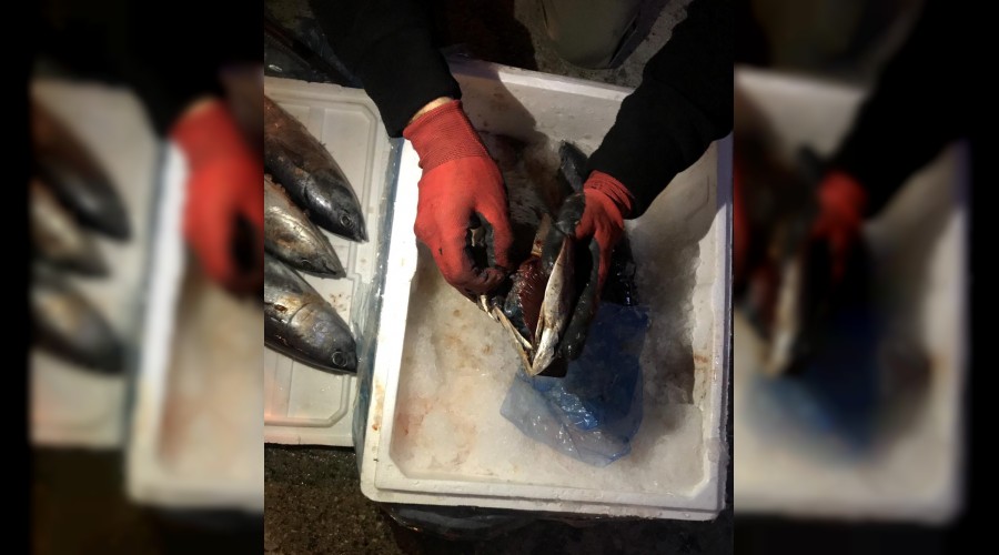 Uyu�turucuyu bal���n i�ine saklam��lar