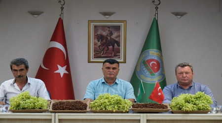Üzüm üreticileri 1 liralık artışa isyan etti