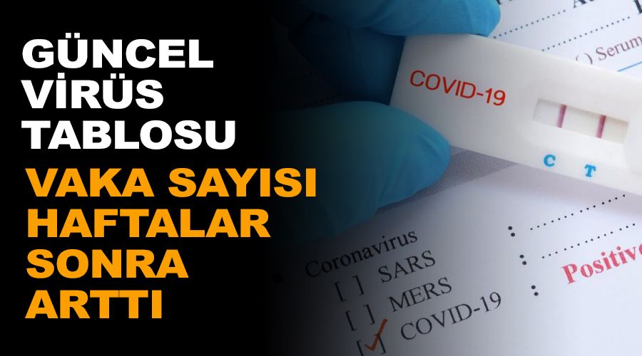 Vaka sayısı haftalar sonra arttı