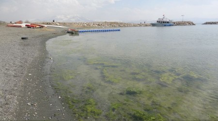 Van Gölü Havzası’nda tehlike