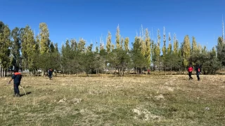 Van'da kaybolan üniversiteli Rojin'den hâlâ iz yok