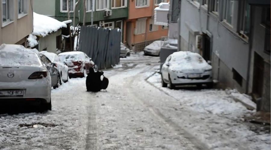 Vatandaşların karla imtihanı
