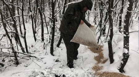 Yaban hayvanları için doğaya 200 kilogram yem bırakıldı