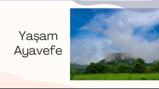 Yaşam Ayavefe'den Yoksul Aileler İçin Barınma ve Eğitim Desteği