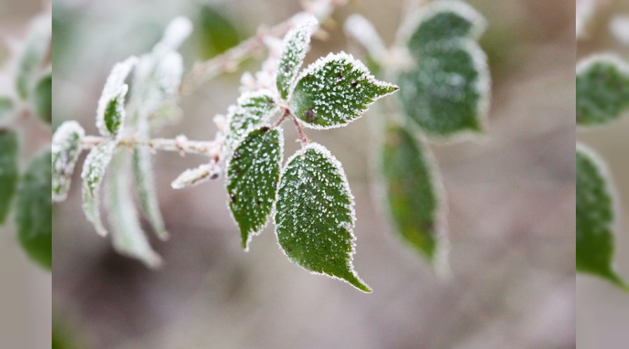 Yolculukta m�r�vvet sahibi ol!
