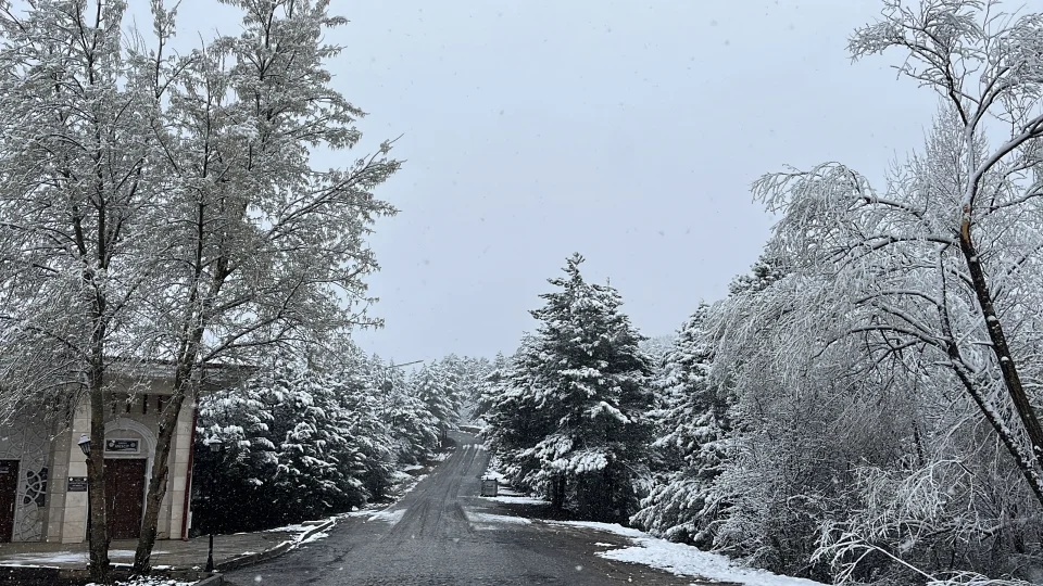 Yozgat'ta May�sta kar etkili oldu