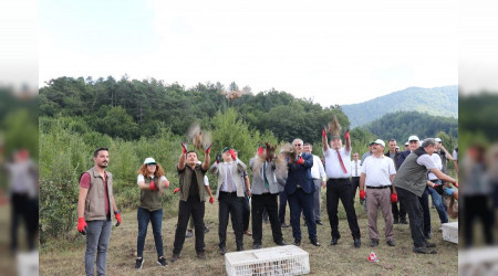 Zonguldak'ta bin sülün doğaya salındı
