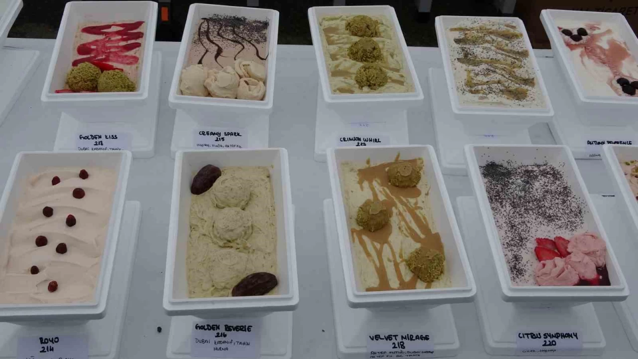 1301 çeşit dondurma ile 'Guinness' rekoru kırıldı