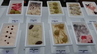 1301 çeşit dondurma ile 'Guinness' rekoru kırıldı
