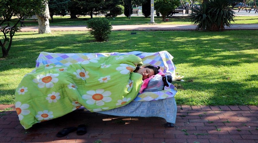 3 aydır parkta yatan kadını köpekler koruyor