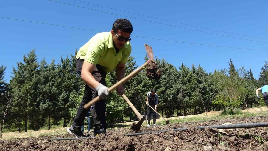 3 bin kilometre uzaktan doğru tarım için geldiler