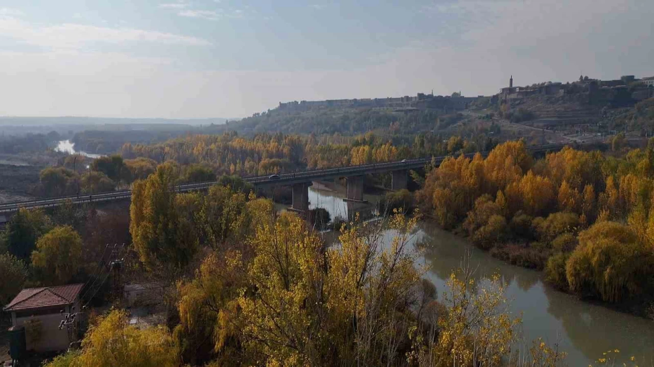 8000 y�ll�k Hevsel Bah�eleri'nde renk c�mb���