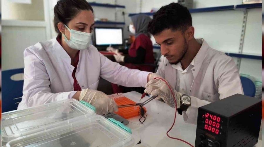 ABD'ye 10 milyon dolarl�k zehir ihracat�