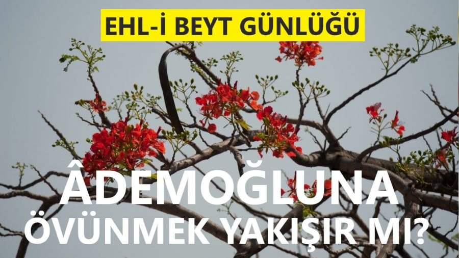 demoluna vnmek yakr m?