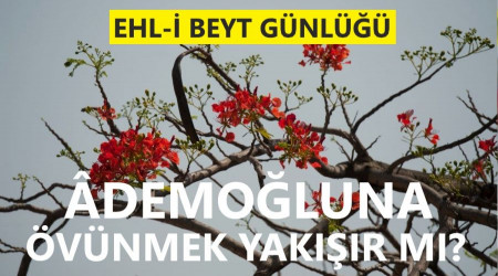 demoluna vnmek yakr m?