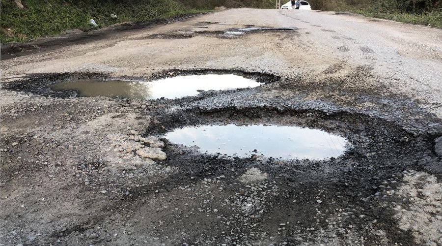 Adeta kstebek yuvasna dnen yola tepki