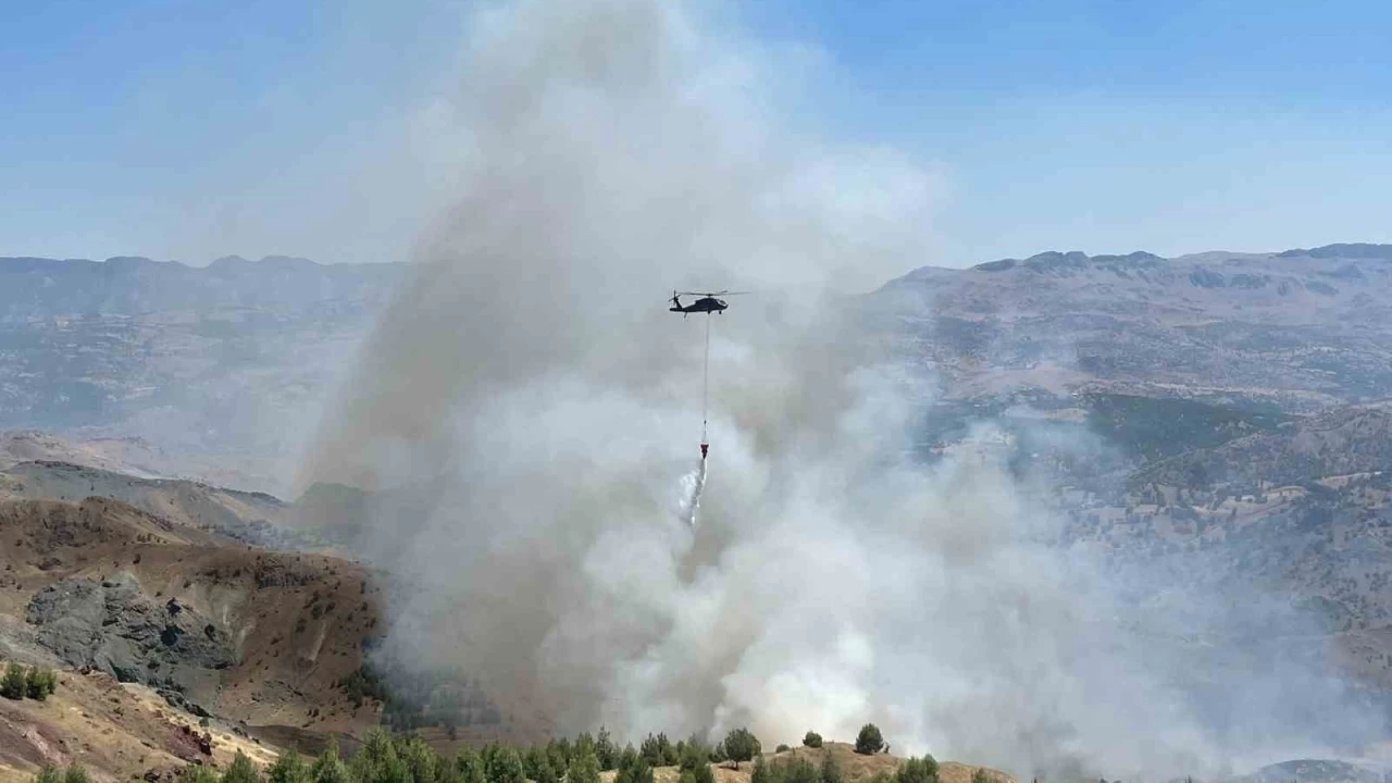 Adyaman'da obann ay atei ormana srad