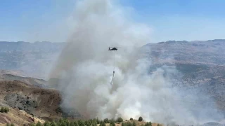 Adyaman'da obann ay atei ormana srad
