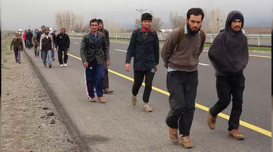 Afgan gne Taliban yorumu: nsanlar lkeden kmaya tevik ettiler, sonra da kaplar atlar