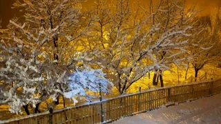 Ahlat'ta kar yağışı