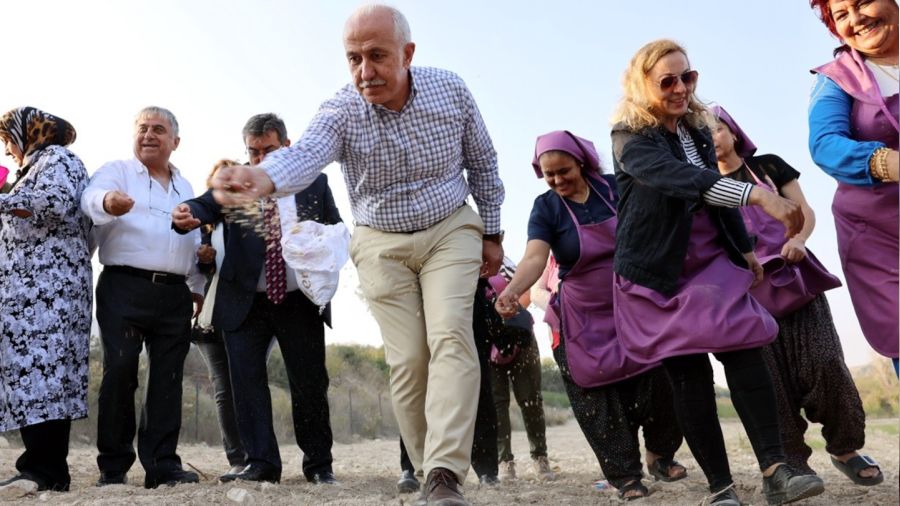 Akdeniz'de gambilya, organik ıspanak ve şevketi bostan ekimi gerçekleştirildi