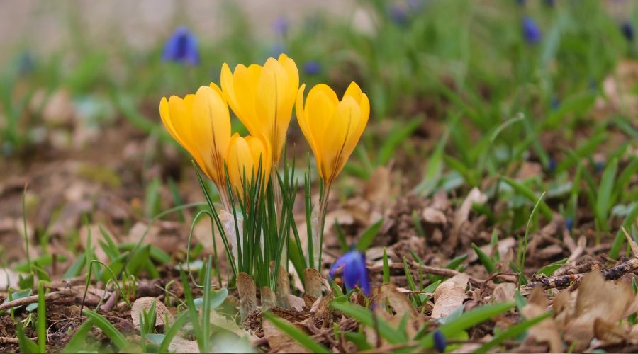 Akl�n kemali tevazudad�r