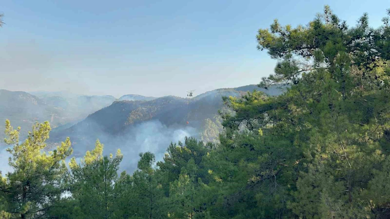 Alanya'da 3 mahalledeki orman yangn kontrol altnda