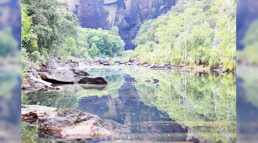 �lim, �mmeti ate�ten korur