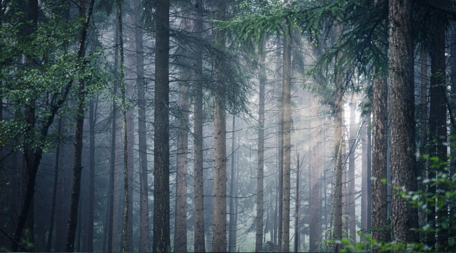 Allah, ancak Allah ile bilinir