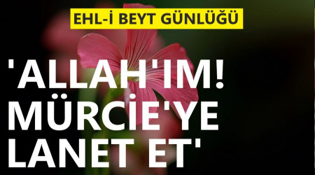 Allah'm! Mrcieye lanet et!