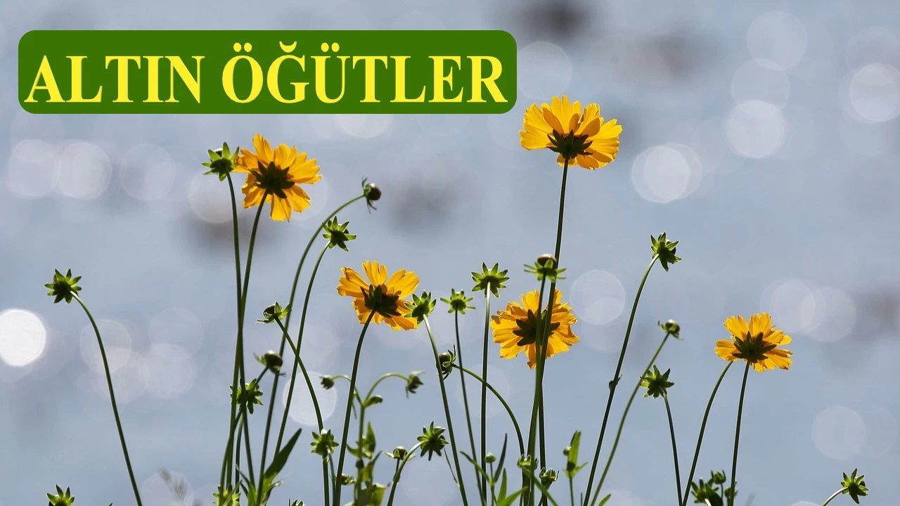 Allah’ın ateş vaat ettiği kimseler
