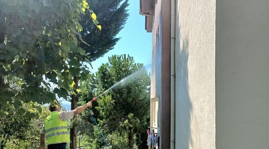 Amerikan beyaz kelebe�i ile m�cadele s�r�yor